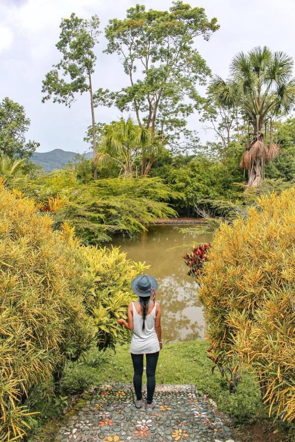 Kantu Garden Lodge 모요밤바 외부 사진